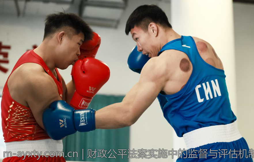 财政公平法案实施中的监督与评估机制